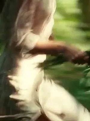 他不再滿眼是我