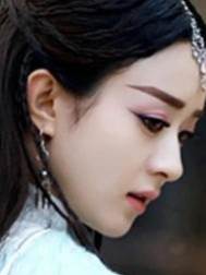 掌中之物覆天下