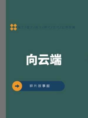 向云端