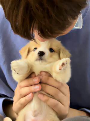 他的ID是嬌軟小熊