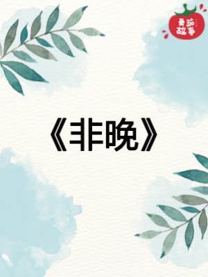 第七安全局之非晚