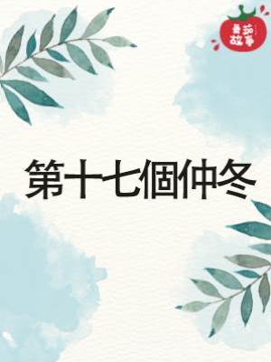 第十七個仲冬
