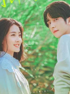 我刨了自己的墳