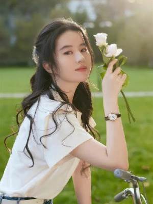 姐姐是復仇女神