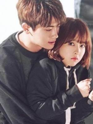 北方女子，成都先生