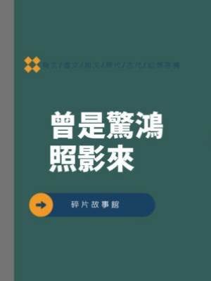 曾是驚鴻照影來