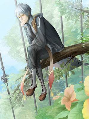 頂流慘變暴躁鸚鵡