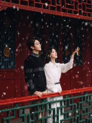 影帝他是鳳凰成精