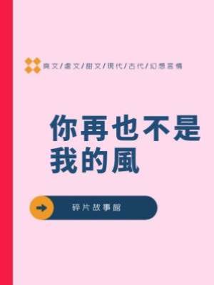 你再也不是我的風