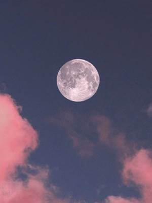 超市偶遇前男友